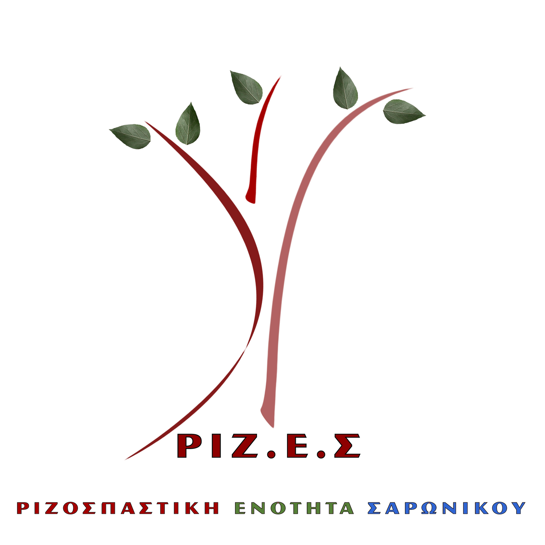 Rizes logo